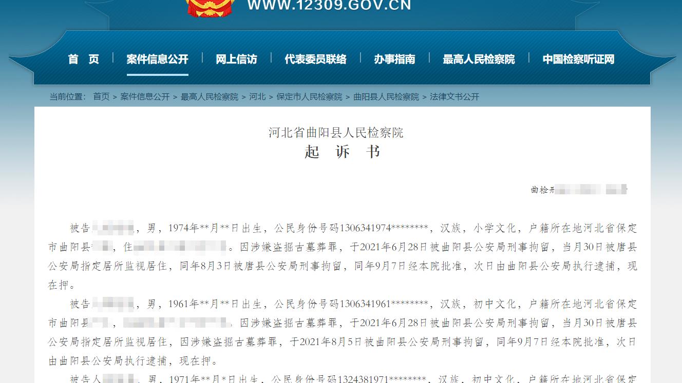 退休|钓鱼发现古墓葬群，河北4名男子盗得多件金代文物，被提起公诉