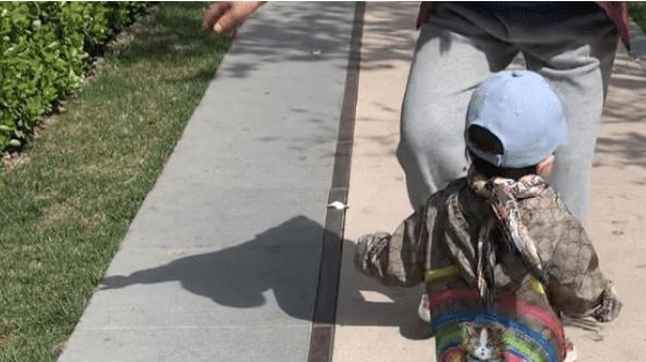 杜淳|杜淳分享女儿的萌态，学习走路，步伐已非常稳健