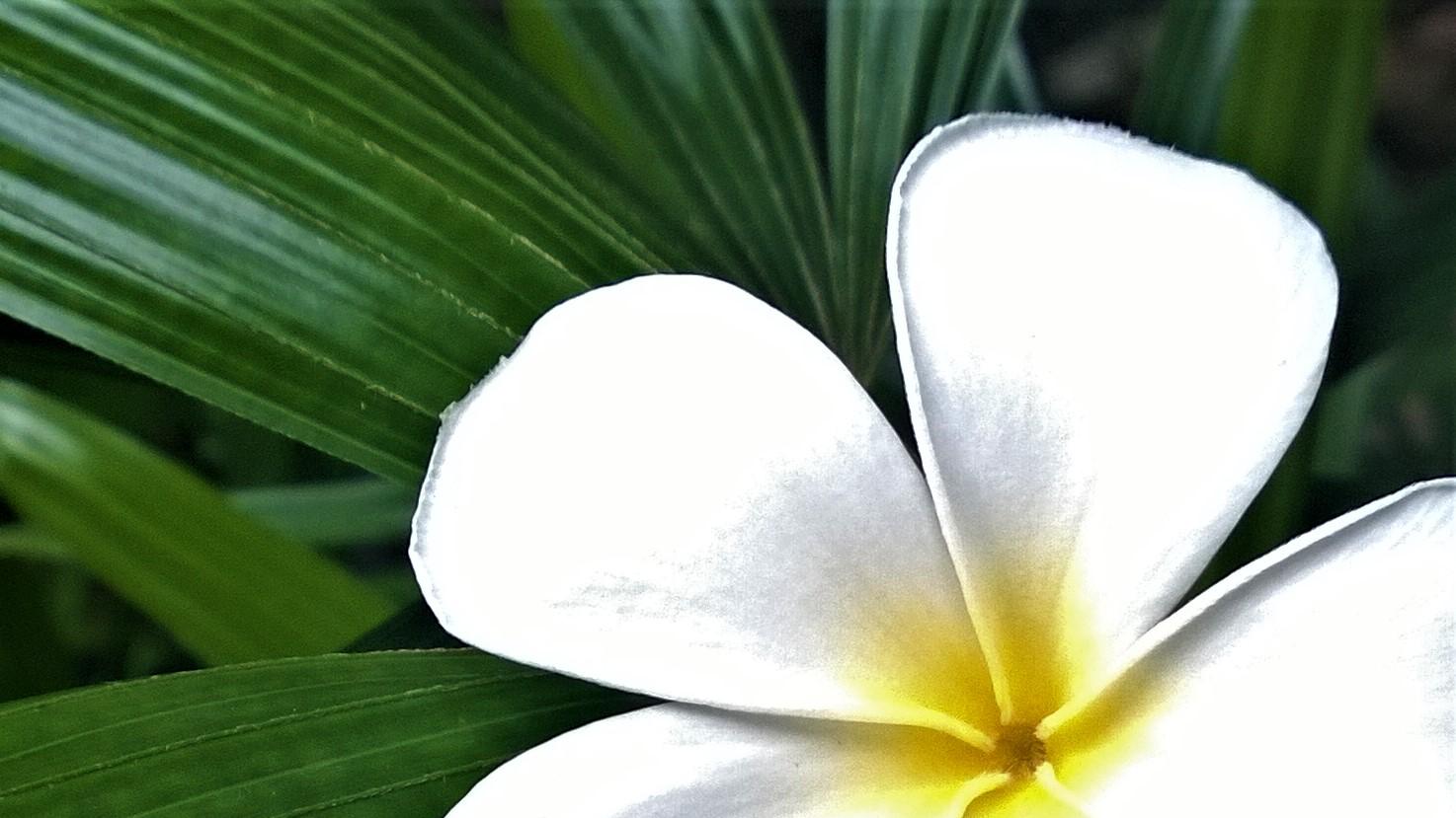 |职场坑自己之——天生我材