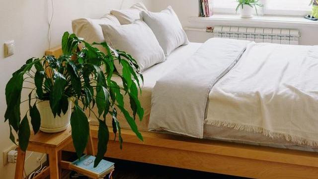 被子睡久了有“异味”，教你简单做法，不用晒不用洗，除螨又卫生
