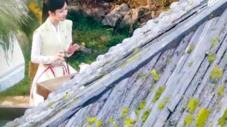 杨紫|杨紫投入了《长相思》的拍摄工作，却让她陷入了窘境