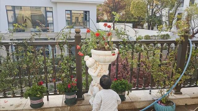 邹市明|邹市明夫妇晒上海豪宅院景，冉莹颖长腿抢镜，网友：俩人真没少赚