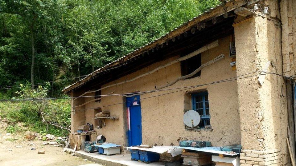 生存是需要理由的