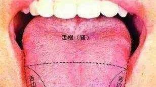 身体的秘密|中医要看舌头的原因，原来是舌头隐藏着身体的秘密，还会发生变化