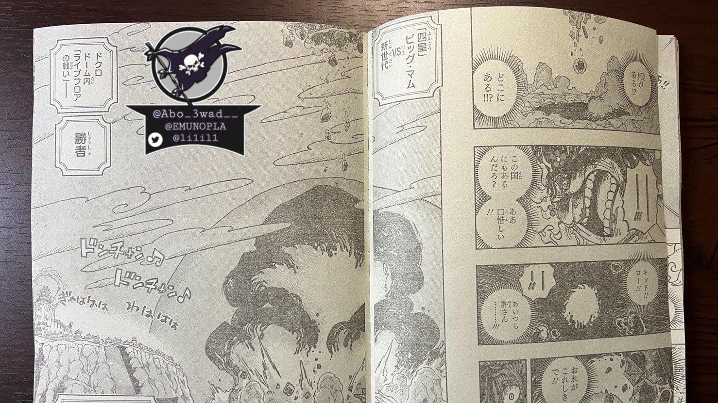 漫画|海贼王1040话全图：大妈坠落洞中彻底战败，桃之助说出象主秘密