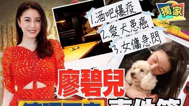 廖碧儿|恭喜！廖碧儿获顶级学府录取，学费高达200万，却因爱犬忍痛放弃