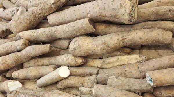 医生|常吃山药，上能养胃、中能固肾、下能护血管！可这3类人不宜多吃