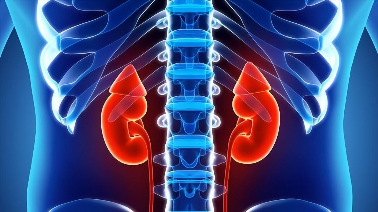 针灸|身体越虚，欲望越难控制，教你3个中成药，补虚固摄，清心降欲