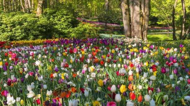 男性更年期|为什么我们将食物分为三大主要营养素而非四大营养素？