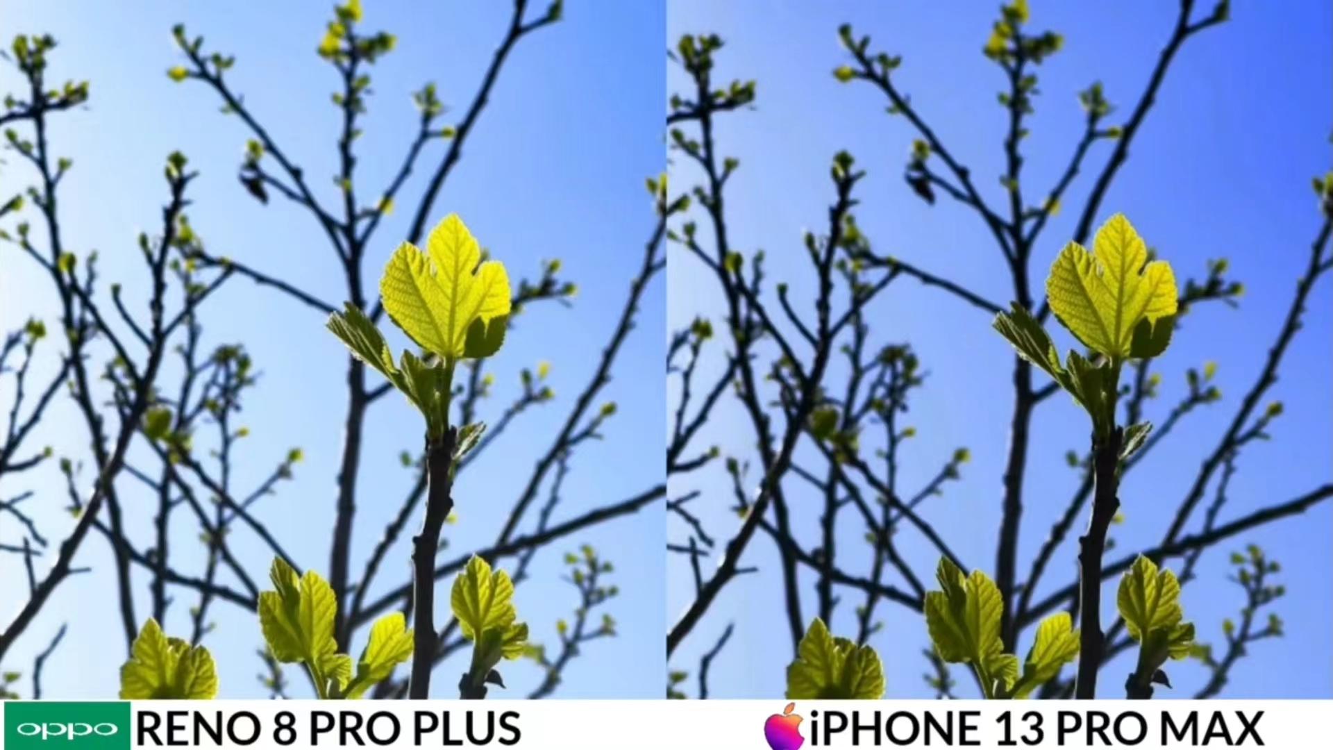 iPhone|这年头怎么是个手机都敢“碰瓷”iPhone 13 Pro Max？