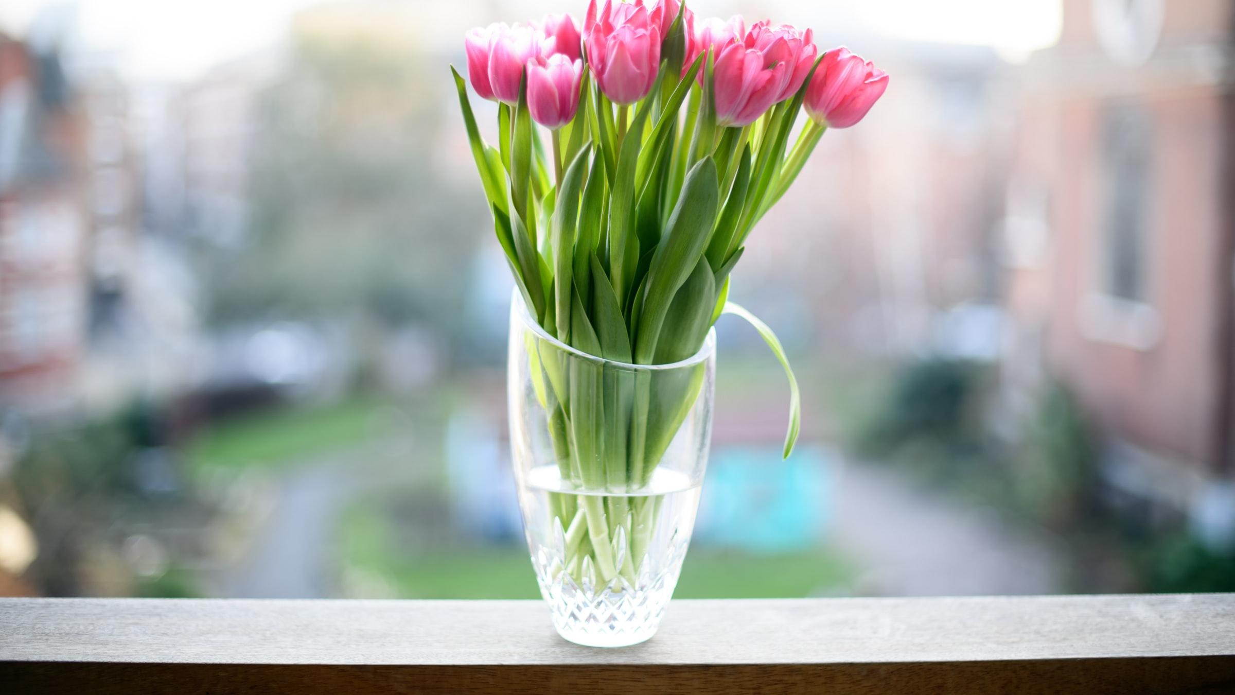 贺弘文|《知否》原著：真正聪明的女人，挑选男人的方式也非常特别