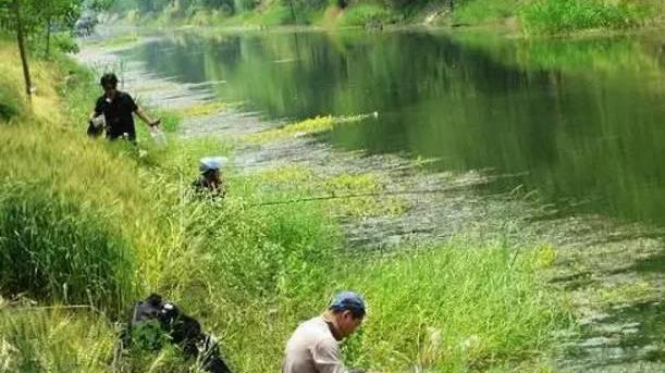饵料|立春后别再钓深水了，鱼已转移到“浅滩”，想爆护还需提前做准备