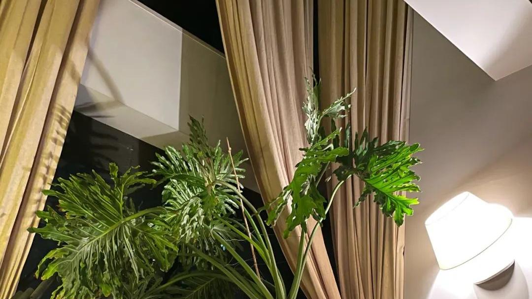 殷桃|看完43岁殷桃在北京的亿元别墅：人越成功，就越平淡！这才叫境界