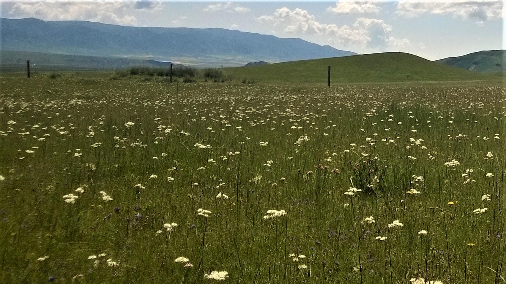 |职场憋吵架，哥们儿请冷静