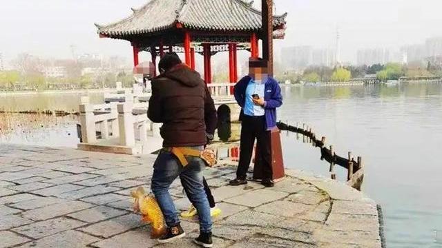 济南|景区偷钓20斤大鲤鱼，济南一男子被拘留13天！网友：钓瘾有点大
