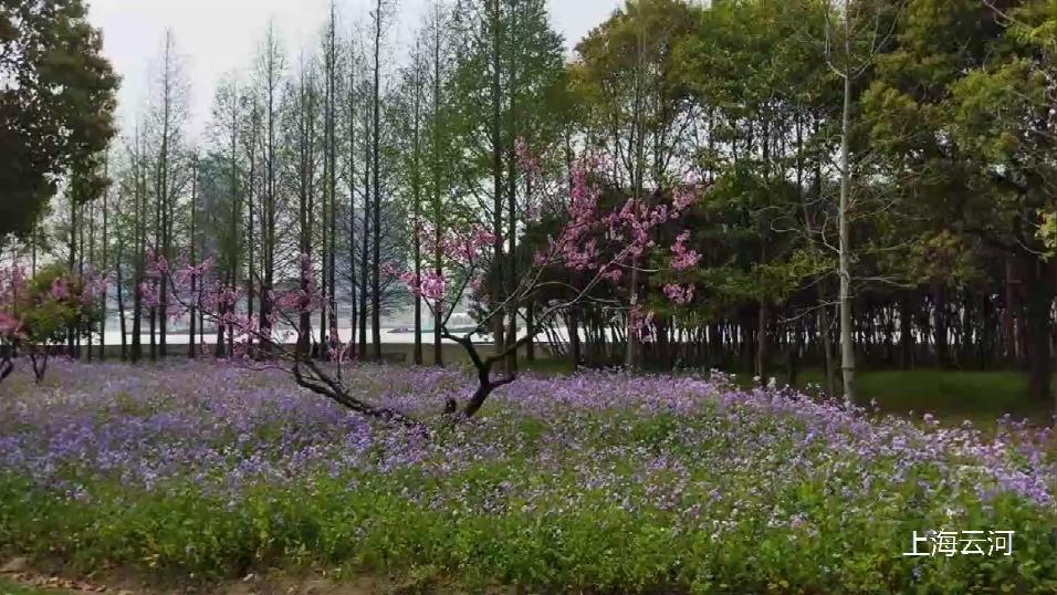 待过几天，天气暖和了，可以去尽情享受户外的自由和风景