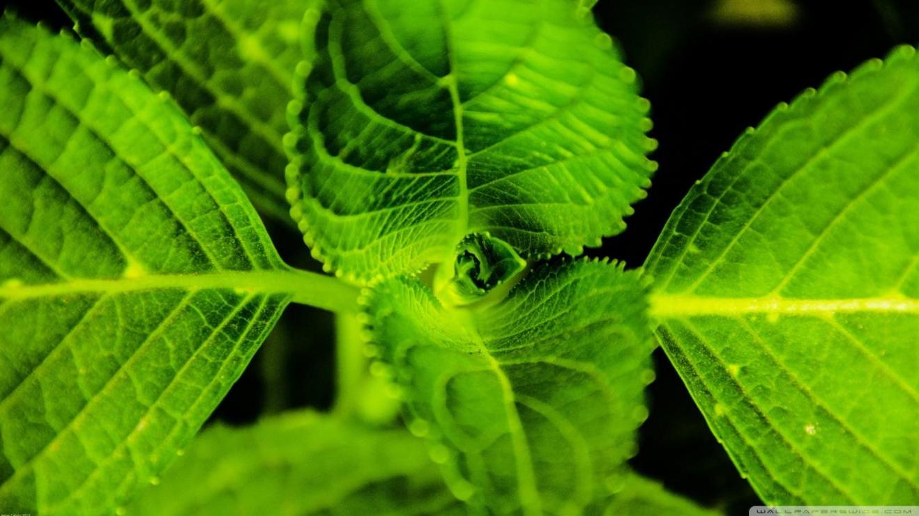 |如何在职场生存？