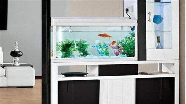 龙吟师傅讲解门口的鞋柜上放什么比较有利