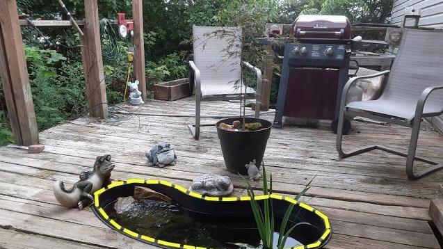 劝你露台别浇水泥地只铺甲板，木板掀开塞个水盆，养鱼种花造水景