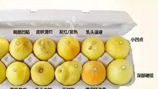 调料|多名乳腺科专家：厨房3种“调料”，比酒精还伤乳腺，作为女人要知道