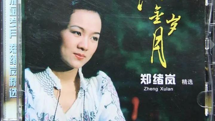 郑绪岚|郑绪岚为何遭封杀？得罪了谁？