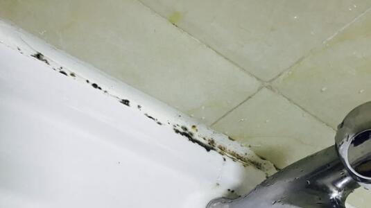 糟心的卫生间玻璃胶，不到一年缝隙变黑，到底如何能变干净？