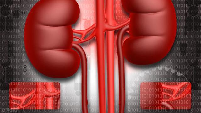 并发症|糖尿病人怎么健康长寿？减少心、肾并发症是关键，做好6点