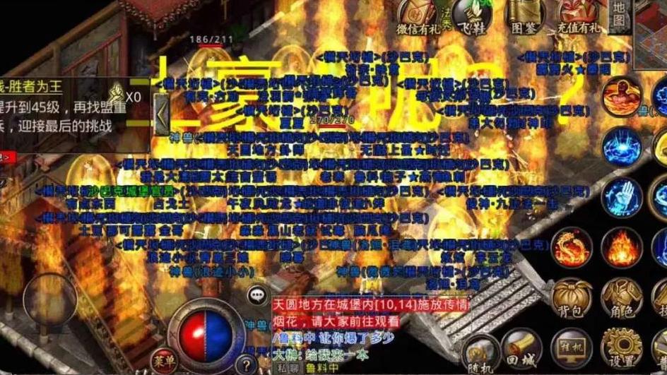 瑞幸|传奇世界：如何对抗宠物宝宝级别高于自己的道士？