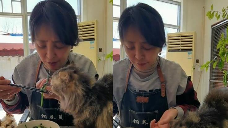 王心迪|李勤勤和猫同吃菜叶不嫌脏！头发凌乱打扮朴素，桌上残渣太抢眼