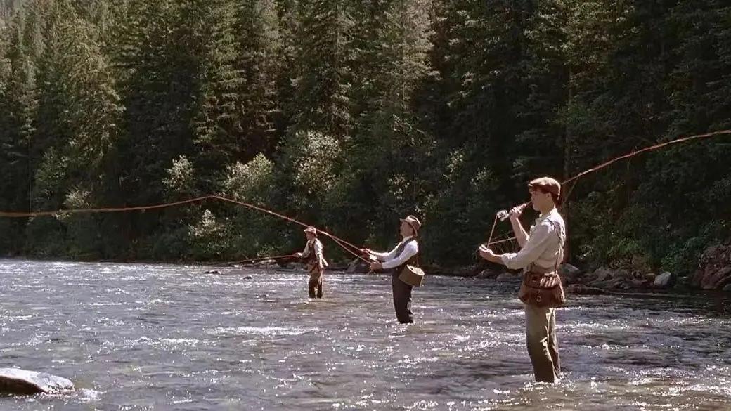 知乎|知乎一心求稳