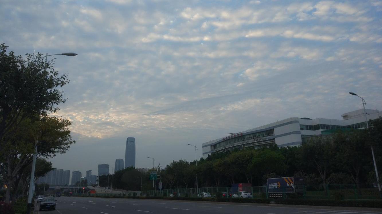 鸡同鸭讲之——草坪到底能不能踩