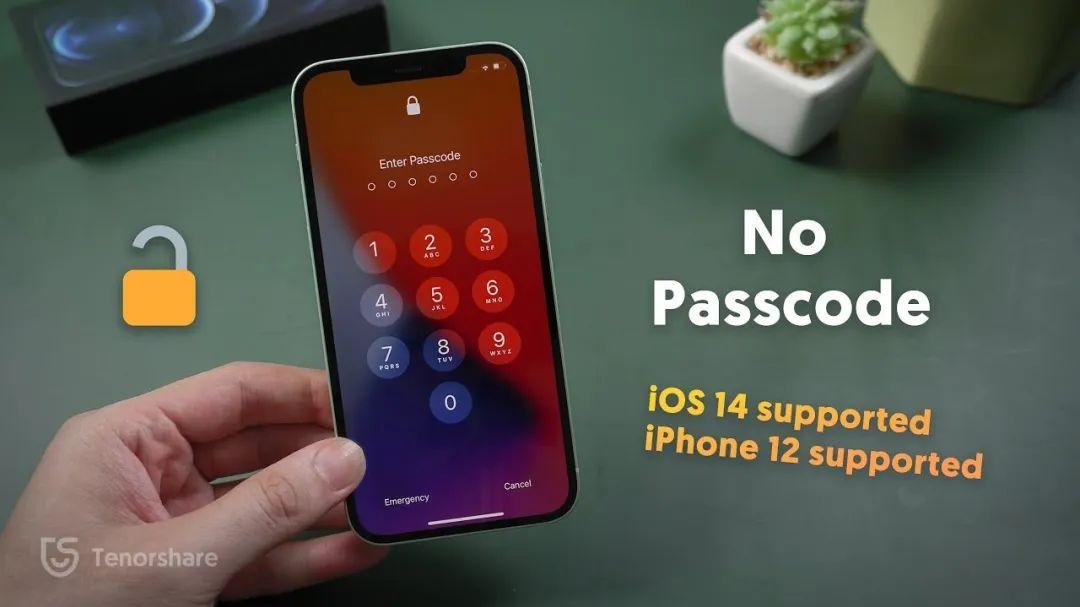 |iOS 16 新功能，iPhone 无密码时代来临