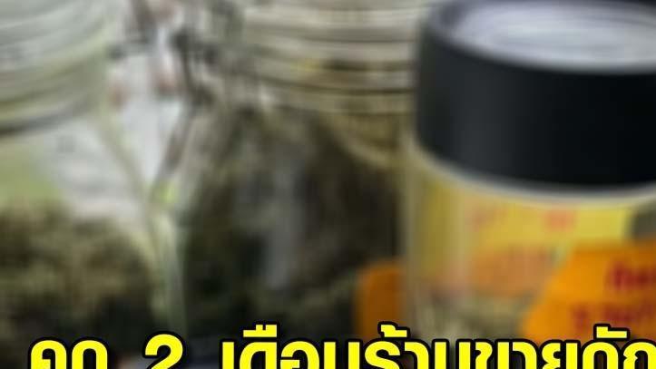 违法出售大麻！泰国曼谷通罗区6名商贩被罚监禁2个月