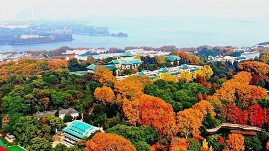 某985高校年度获批“国重”项目翻番：24+59，总经费达5.77亿！