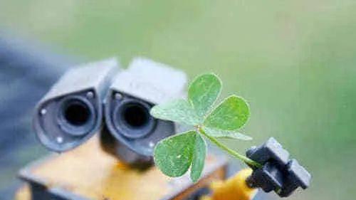 写在朋友圈的心情随笔