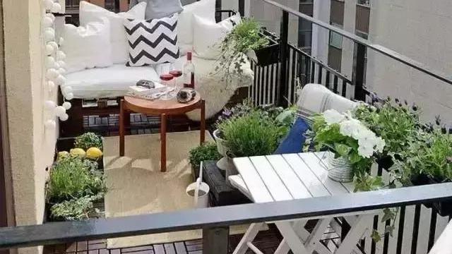 阳台上的小花园，朋友来了都不愿待在客厅了，都觉得不错！