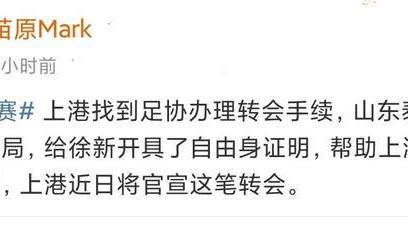 徐新|再反转！徐新将自由身加盟海港队，效力三大豪门比肩韦世豪！