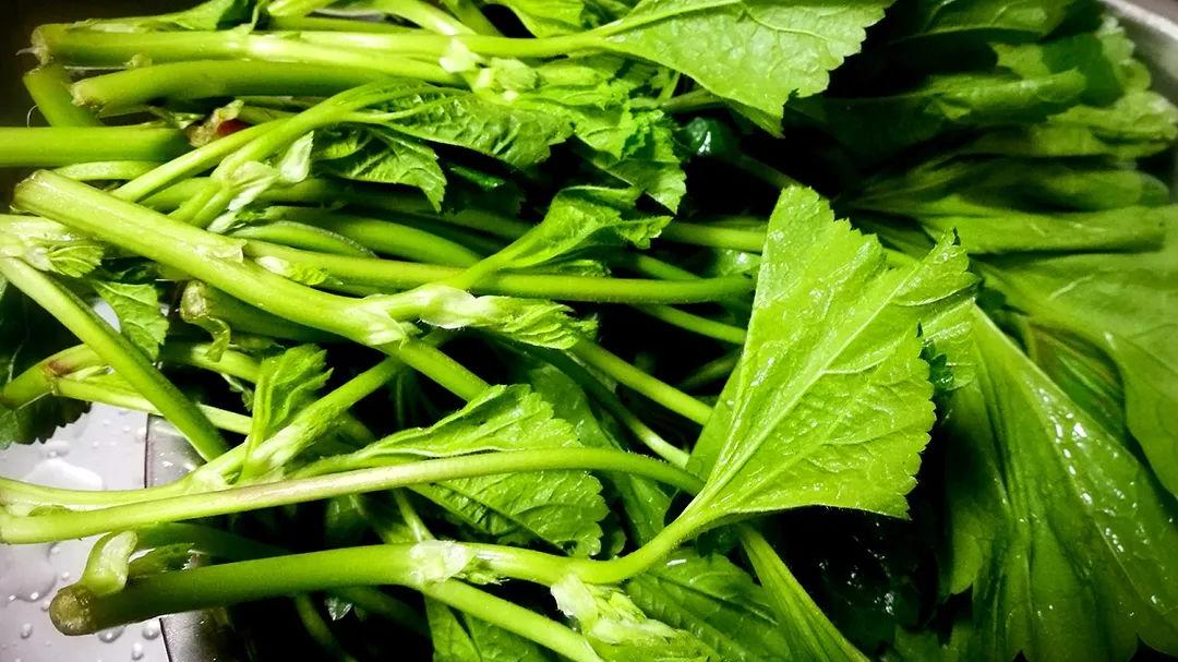 牛奶|被称为“醒酒菜”，煮稀饭好吃，曾是百菜之王，如今识它的人不多