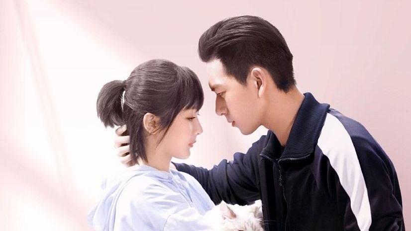 杨紫|《亲爱的热爱的》被罚10万，杨紫邀请李现拍戏，播放量高达100亿