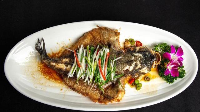 广东省|广东男子野钓收获“怪鱼”，一时不知道该怎么办，网友：尽情食用