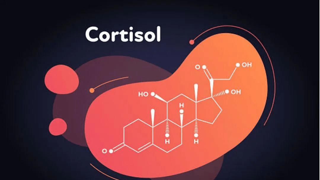 脑供血不足|脑供血不足，与这4个原因脱不了关系，常吃3物，血管通，供血足