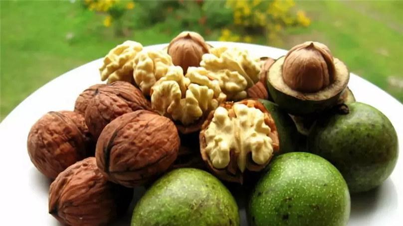 中药|像核桃一样的人