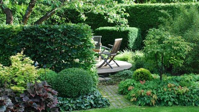 如果你有一个院子，可以这样设计