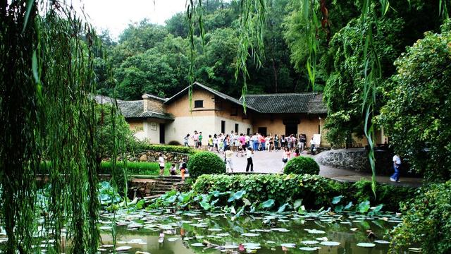 绿孔雀|湖南有个三线城市走红，风景秀美气候宜人，还被誉为“小南京”