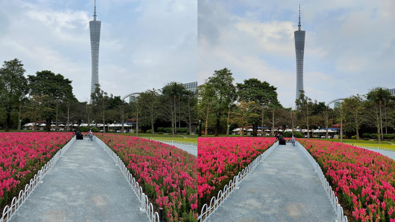 iPhone|拍花拍人拍风景，苹果OPPO旗舰如何表现？色彩效果成分歧点