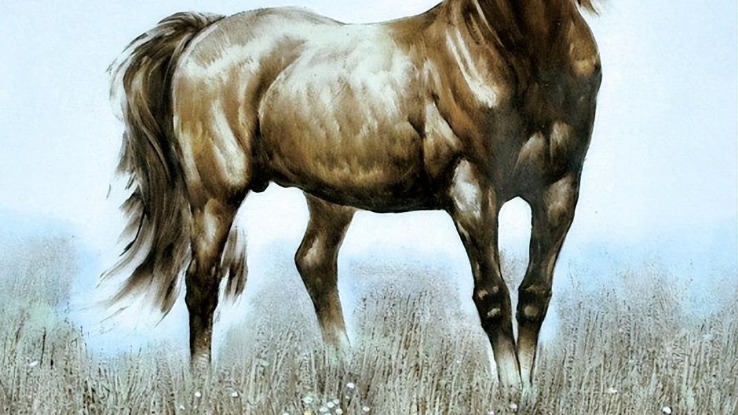 生肖|上半年到下半年一路顺畅的生肖，钱到了，苦散了，阳光满面