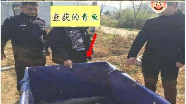 安徽|2.5万斤青鱼、400万元，安徽一钓场变赌场，多人被抓，多人被抓