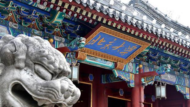 客服|大专生逆袭考上北大研究生，因第一学历是专科被嫌弃，是谁的错？