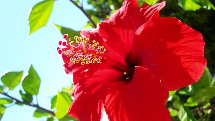 生肖|1月26日以后，财神庇佑，运入贵地的生肖