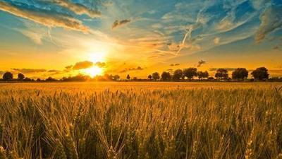 劫后余生|哪有什么岁月静好，每个成年人只是劫后余生